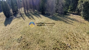 Teren de vânzare 5000 mp – Piatra Neamț - imagine 4