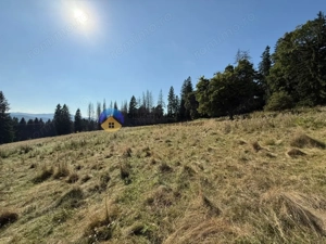 Teren de vânzare 5000 mp – Piatra Neamț