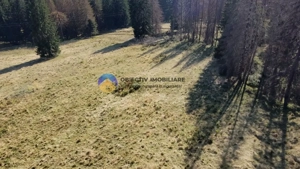 Teren de vânzare 5000 mp – Piatra Neamț - imagine 3