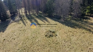 Teren de vânzare 5000 mp – Piatra Neamț - imagine 6