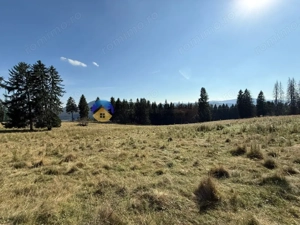 Teren de vânzare 5000 mp – Piatra Neamț - imagine 2