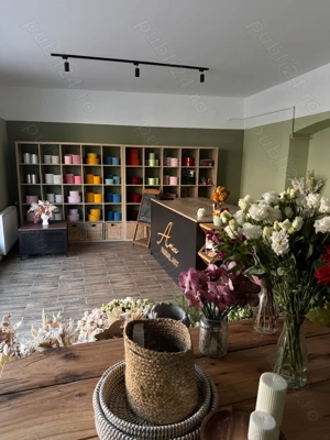Florarie de vanzare Brasov