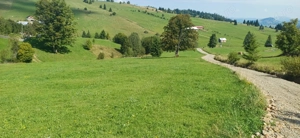 Teren de vânzare - Comuna Dorna Candrenilor, Loc. Poiana Negrii, jud.Suceava