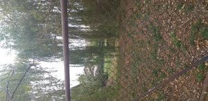 Vand teren intravilan ideal pentru constructie