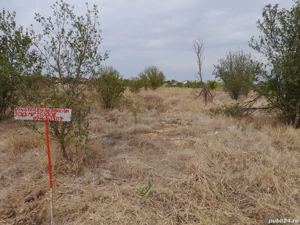 Vând teren intravilan Preajba 500metri patrati 25000 de euro și  teren de 400metri pătrati 22000euro - imagine 2 Vând teren intravilan Preajba 500metri patrati 25000 de euro și  teren de 400metri pătrati 22000euro - imagine 2