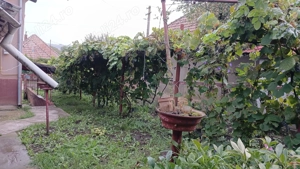 Casa de vanzare (parter + etaj) - imagine 3