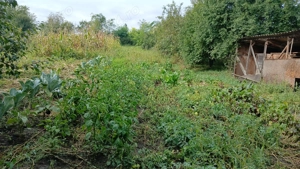 Casa de vanzare (parter + etaj) - imagine 5