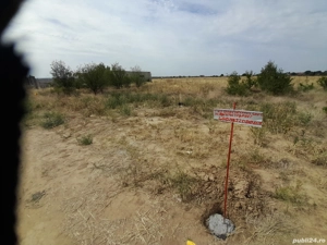 Vând teren intravilan Preajba 500metri patrati 25000 de euro și  teren de 400metri pătrati 22000euro - imagine 4 Vând teren intravilan Preajba 500metri patrati 25000 de euro și  teren de 400metri pătrati 22000euro - imagine 4