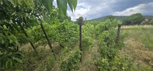 Casa renovata de vanzare Crainimat , BN cu teren 3148 mp - imagine 13 Casa renovata de vanzare Crainimat , BN cu teren 3148 mp - imagine 13