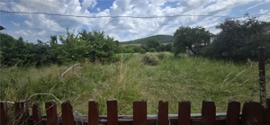 Casa renovata de vanzare Crainimat , BN cu teren 3148 mp - imagine 14 Casa renovata de vanzare Crainimat , BN cu teren 3148 mp - imagine 14