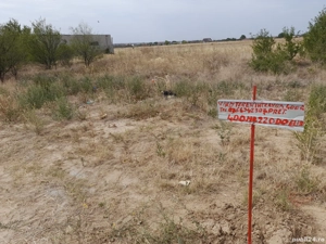 Vând teren intravilan Preajba 500metri patrati 25000 de euro și  teren de 400metri pătrati 22000euro - imagine 5 Vând teren intravilan Preajba 500metri patrati 25000 de euro și  teren de 400metri pătrati 22000euro - imagine 5