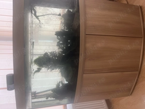 Acvariu curbat Juwel 280 L - imagine 2 Acvariu curbat Juwel 280 L - imagine 2