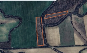 Vand 2 terenuri in extravilan de 11900mp si 5000mp in Mosnita Noua - imagine 3