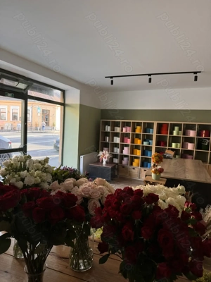 Florarie de vanzare Brasov - imagine 2