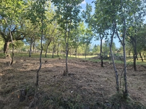 Casa de vanzare!!!  - imagine 3