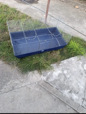 Vând cuști iepuri rozatoare - imagine 4