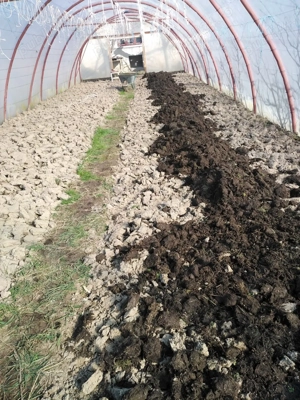 Casa 4 camere Petid,judetul Bihor - imagine 3