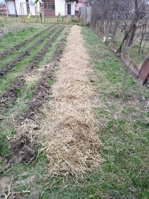 Casa 4 camere Petid,judetul Bihor - imagine 4