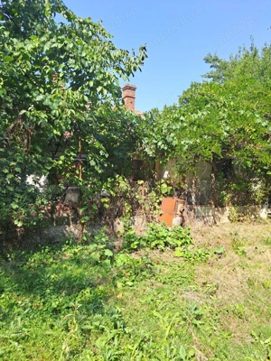 Casa de vanzare Diosig - imagine 4 Casa de vanzare Diosig - imagine 4