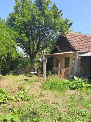 Casa de vanzare Diosig - imagine 5 Casa de vanzare Diosig - imagine 5