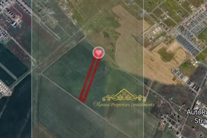 Teren Magurele nord investitie 17500 mp