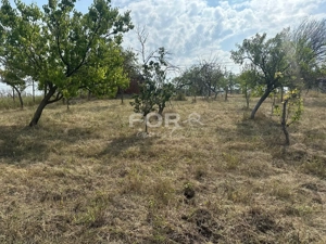 Teren intravilan de vanzare 1665 mp, front 38m, strada Piatra Craiului - imagine 13