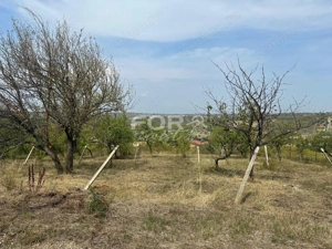 Teren intravilan de vanzare 1665 mp, front 38m, strada Piatra Craiului - imagine 12