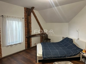 Casa spatioasa cu 482mp teren, de vanzare, central Sirul Canonicilor - imagine 8