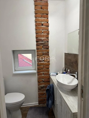 Casa spatioasa cu 482mp teren, de vanzare, central Sirul Canonicilor - imagine 15