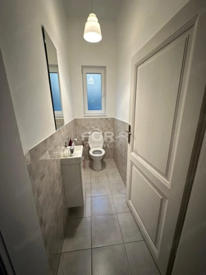 Casa spatioasa cu 482mp teren, de vanzare, central Sirul Canonicilor - imagine 12