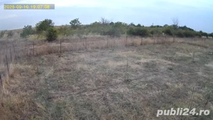 Teren 1.377 mp, deschidere 30 ml, puț forat, gard, Popești Mihăilești - imagine 6