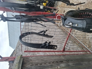 Ham trăsură  - imagine 2