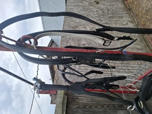 Ham trăsură  - imagine 4