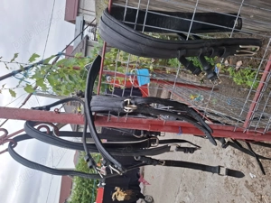 Ham trăsură  - imagine 3