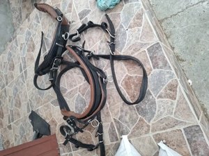 Ham trăsură  - imagine 5