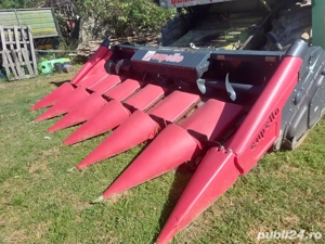 Vand Heder Porumb floare  Capello Quasar 6 an 2022