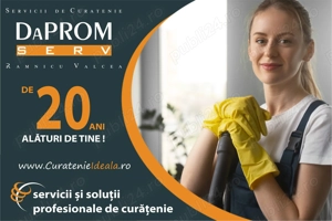 Servicii profesionale de curatenie Valcea