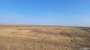 Teren extravilan Drăgănești-Vlașca