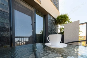 Proprietar-apart 1 camera , 41 mp  et 5 9 ,in   Complex rezidențial, A. Vlaicu - imagine 4