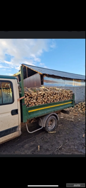 Lemn salcâm  - imagine 3