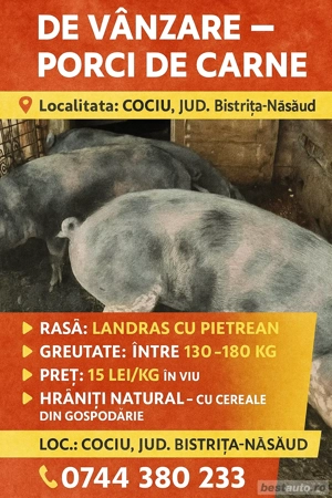 Porci de vânzare 