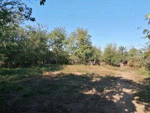 Casa de vanzare Malu - IALOMITA - imagine 5