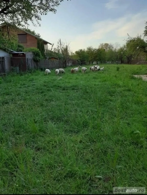 Teren construibil - imagine 5