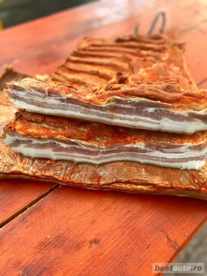 Scrofițe si Masculi Durok       - imagine 3 Scrofițe si Masculi Durok       - imagine 3