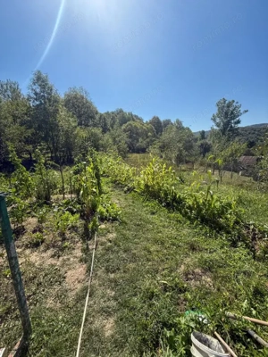 Casa de vacanta sau rezidenta in Adunati, buget redus  - imagine 12