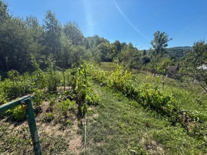 Casa de vacanta sau rezidenta in Adunati, buget redus  - imagine 13