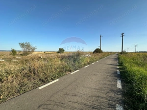 Teren extravilan de vânzare – 19.963 mp, E68 Mândruloc–Vladimirescu