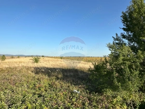 Teren extravilan de vânzare – 19.963 mp, E68 Mândruloc–Vladimirescu - imagine 8