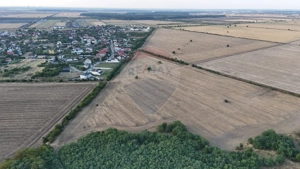 Ocazie investitie, teren intravilan Tamasi / Buftea - imagine 3
