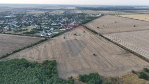 Ocazie investitie, teren intravilan Tamasi / Buftea - imagine 4